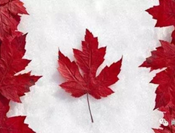 4月19日，“加拿大留学·就业·移民”分享会